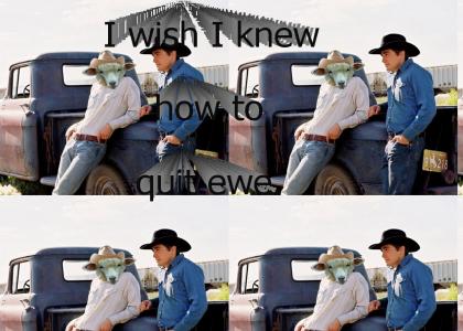 Brokeback Sheep Brokeback Sheep