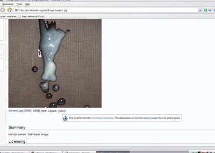 Thanks, Wikipedia. Thanks, Wikipedia.