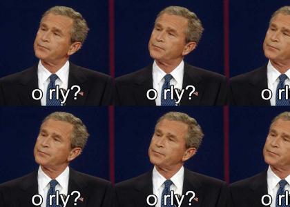 Bush is the best Bush is the best