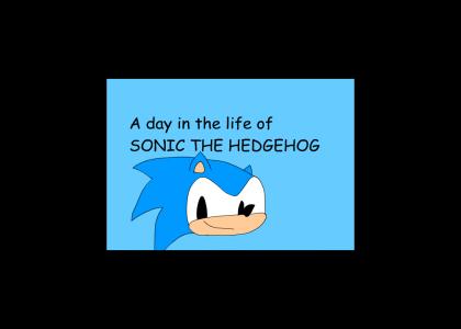 Sonic The Hedgehog - Perfect Sonic The Hedgehog - Perfect