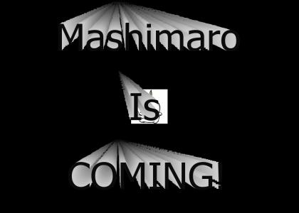 Mashimaro Means Business!
