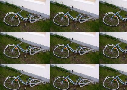 Break the cycle Break the cycle