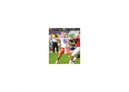 Rex Grossman Memorial Rex Grossman Memorial