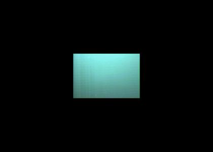 Natalee Holloway's Webcam Natalee Holloway's Webcam