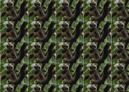 (owl) they spinnin (owl) they spinnin