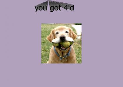 Dog with FOUR balls! Dog with FOUR balls!