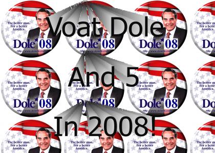 Vote for Real Change in 2008 Vote for Real Change in 2008
