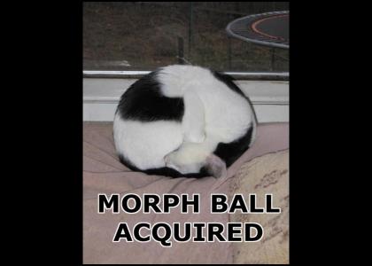 Morph Ball Cat
