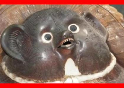 WHAT THE FUCK IS THAT? WHAT THE FUCK IS THAT?