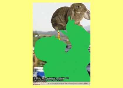 Bunny Pissing Sunshine Bunny Pissing Sunshine