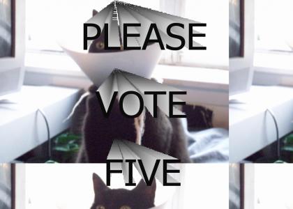 PLEASE VOTE FIVE PLEASE VOTE FIVE