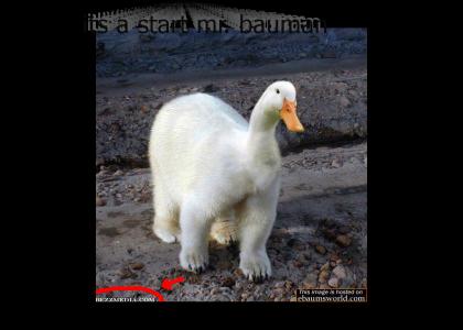 Bauman cites the source! (more pics) Bauman cites the source! (more pics)