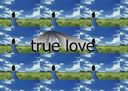 true love true love