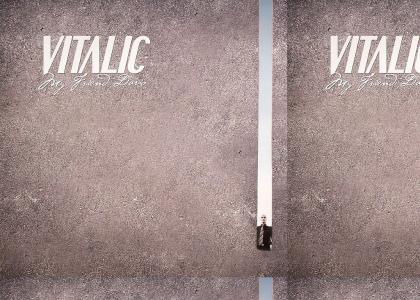 Vitalic Loop Vitalic Loop