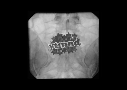 I ♥ YTMND I ♥ YTMND