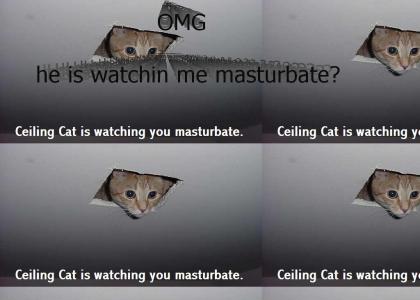 ceiling cat ceiling cat