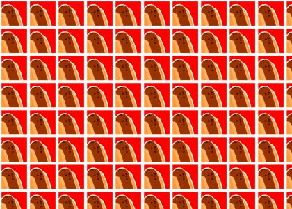 Condoments Condoments