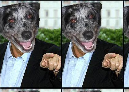 RsTMND RsTMND