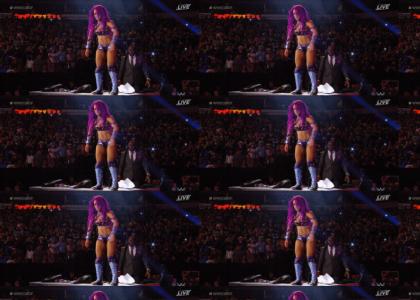 Epic WWE Alexa maneuver Epic WWE Alexa maneuver