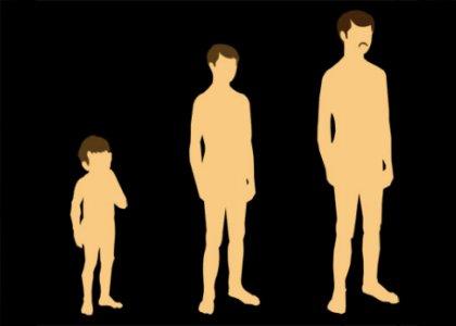 Professor Puberty Professor Puberty