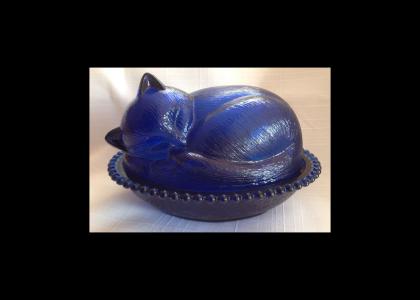 sleeping glass cat sleeping glass cat