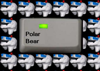 POLAR BEAR IS ON POLAR BEAR IS ON