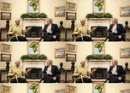 Bush discusses Africa with Mandela
