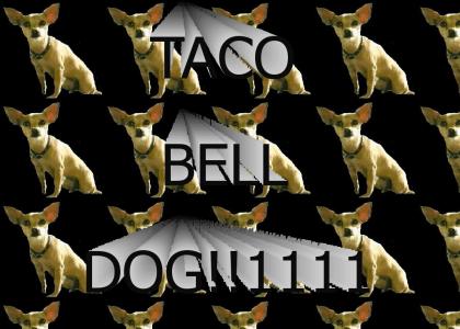 taco bell dog!!111 O.o