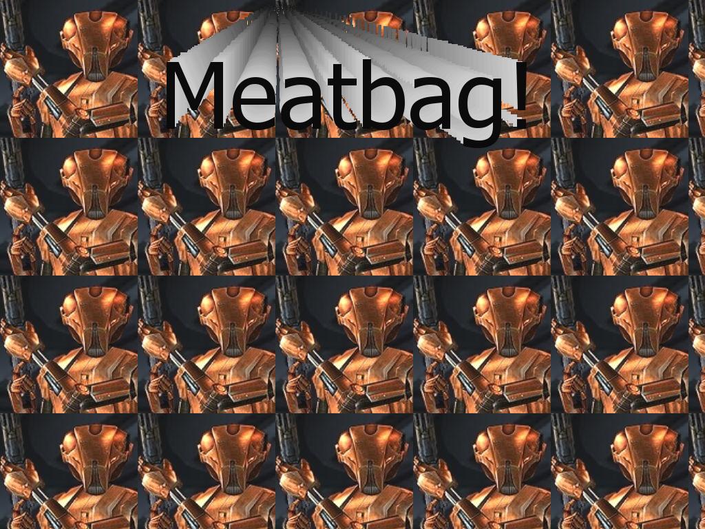 meatbag