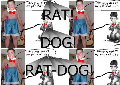ratdog