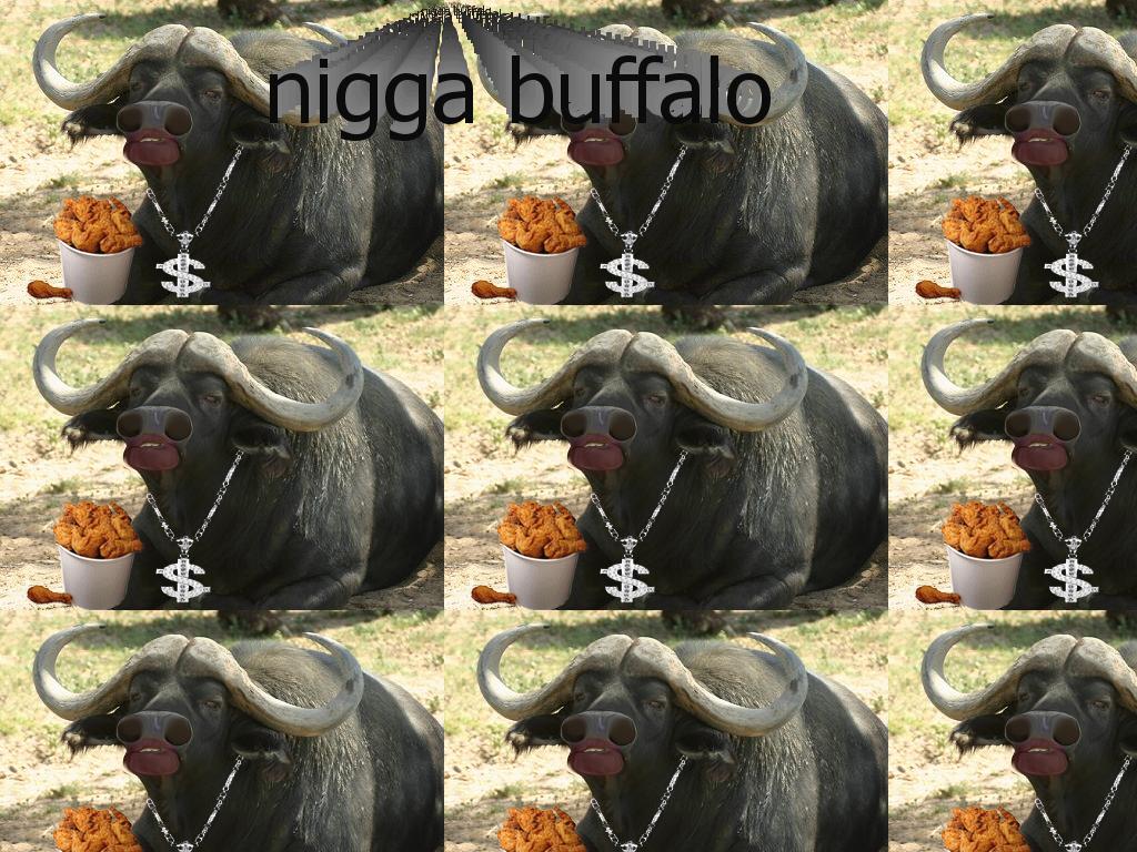 niggabuffalo