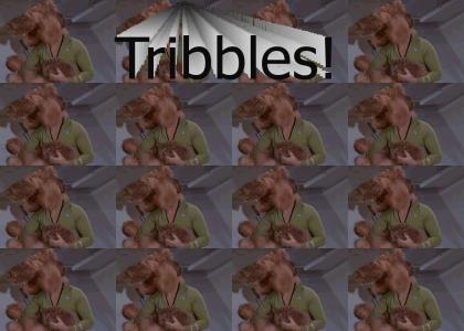 kirk gets buried in tribbles