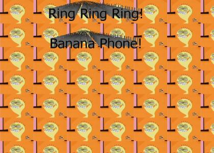 Cheese sings Banana Phone