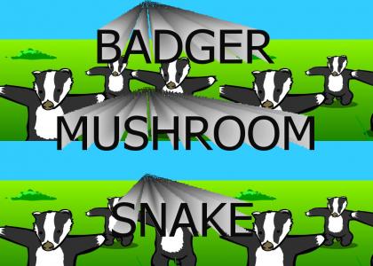 Agressive Badgers