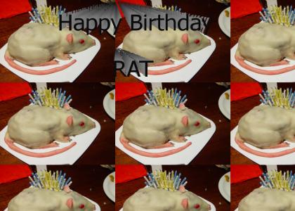 Happy Birthday Rat!