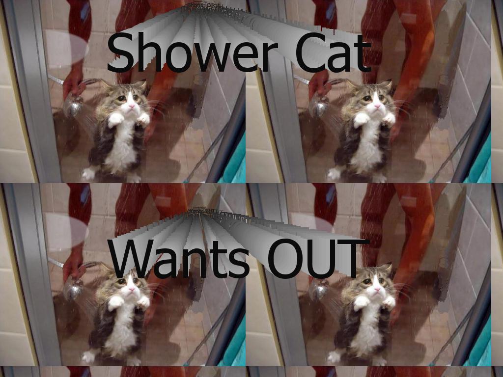 showercat