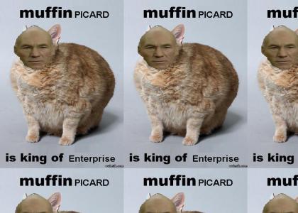 muffin picard