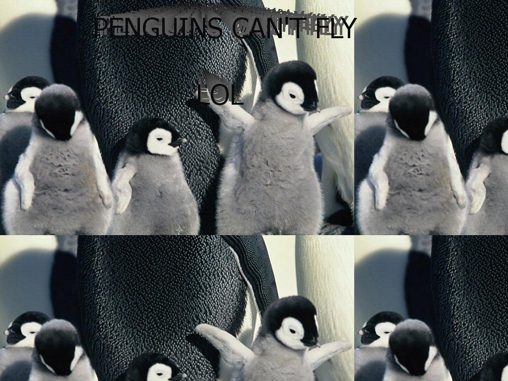 penguinsfly