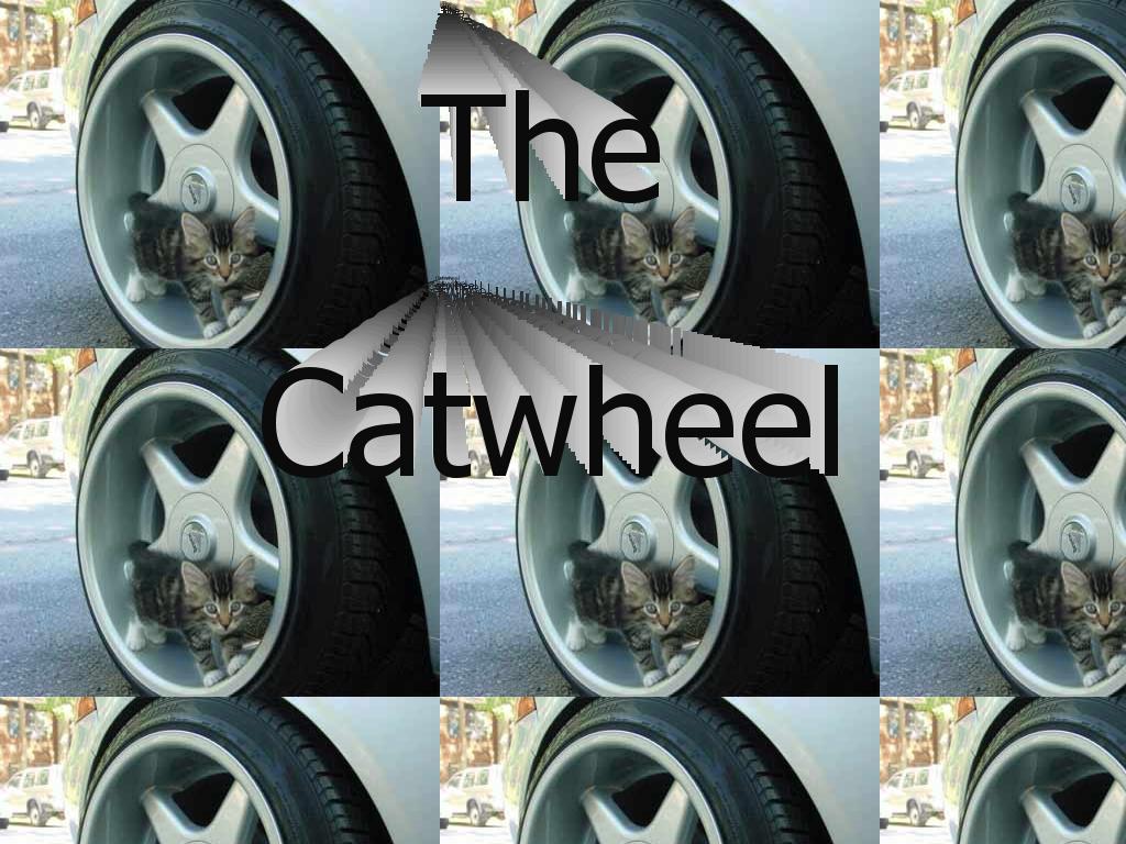 cat-wheel