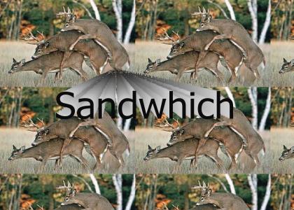 FOOPCONTEST:  Venison Sandwich