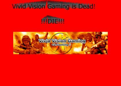 Vivid Vision Gaming is dead bitches