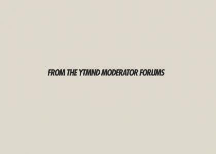 EXCLUSIVE: 2007 YTMND Moderators