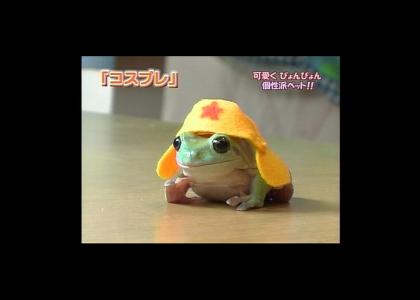 Commu-Frog fights for the Proletariat