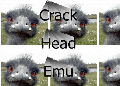 crackead emu