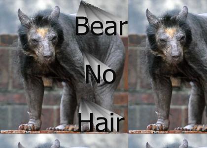 Bear No Hair
