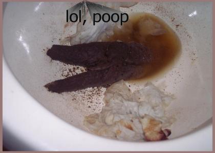 I think my toilet's clogged...