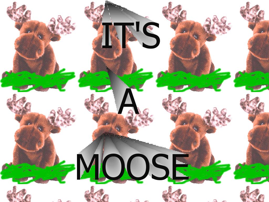 moose