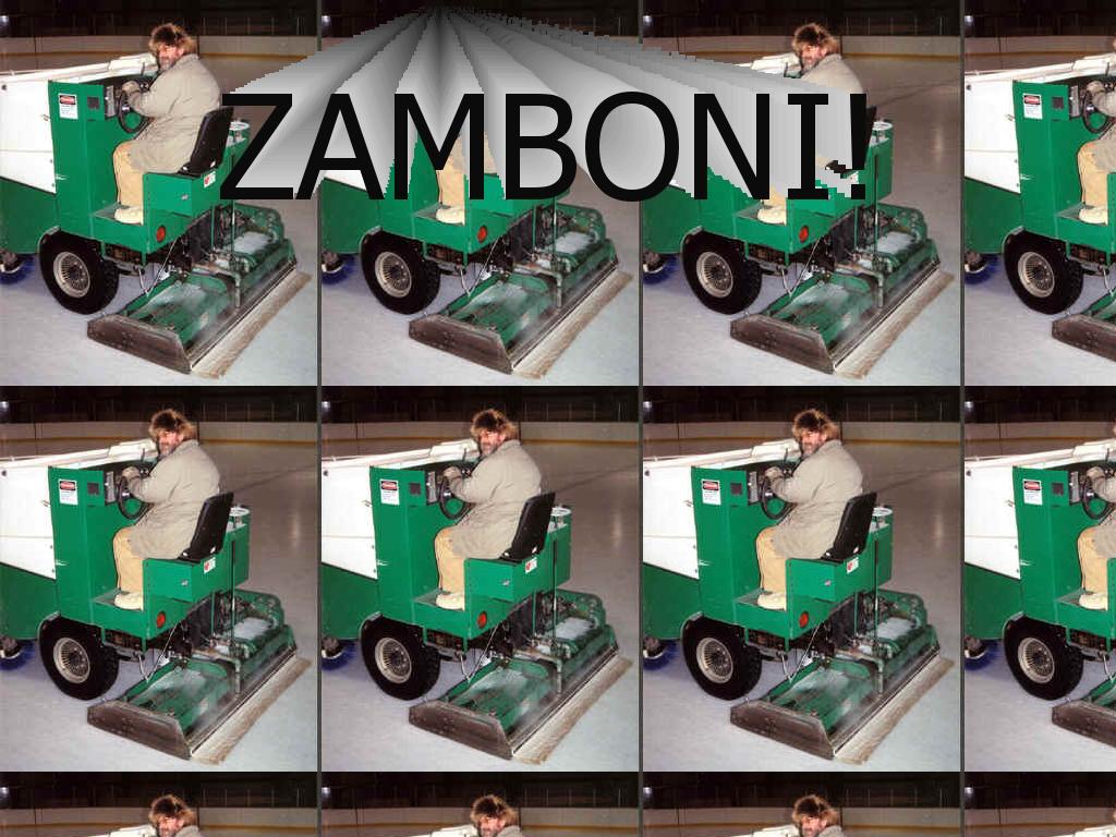 Zambonisong