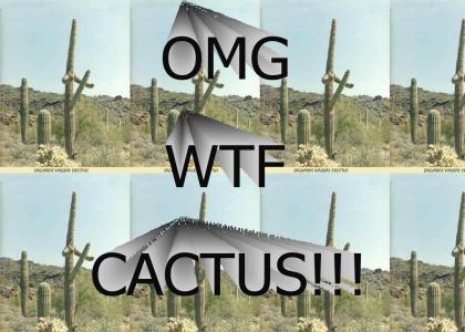 F is for Cactus