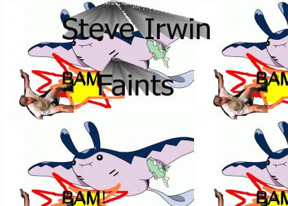 Pokemon killed Steve Irwin